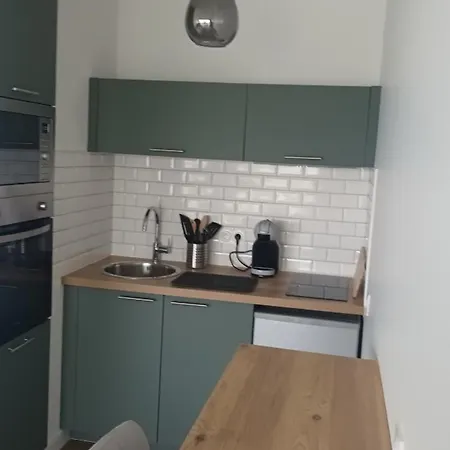 Apartment Renove Avec Grande Terrasse Et Garage A - Fr-1-494-184